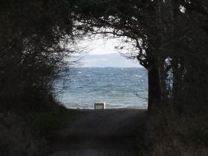 image2-2